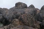 PICTURES/Painted Rock Petroglyph Site/t_Hilltop4.JPG